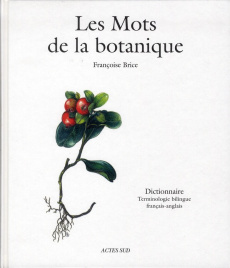 Les Mots de la botanique. Dictionnaire, Terminologie bilingue français-anglais - Brice Françoise ; Hallé Francis ; Danton Philippe