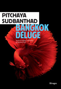Bangkok Déluge - Sudbanthad Pitchaya ; Turle Bernard