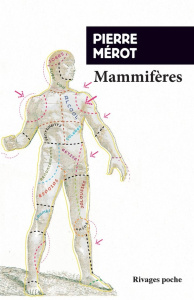 Mammifères - Mérot Pierre