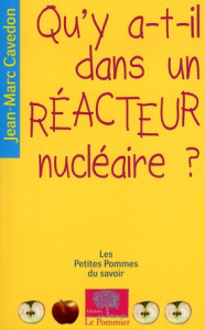 Qu'y a-t-il dans un réacteur nucléaire ? - Cavedon Jean-Marc