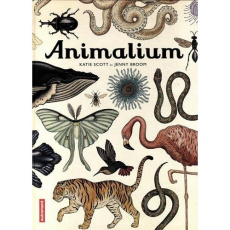 Animalium - Broom Jenny ; Scott Katie ; Gros Emmanuel