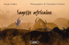 Sagesse africaine - Andjou Joseph ; Courteau Christophe
