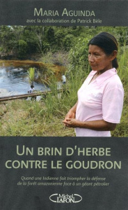Un brin d'herbe contre le goudron - Aguinda Maria ; Bèle Patrick
