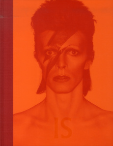David Bowie is inside - Broackes Victoria ; Marsh Geoffrey