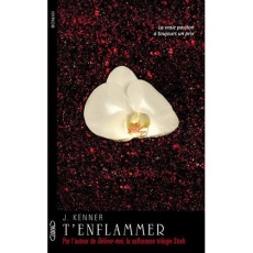 Te désirer Tome 2 : T'enflammer - Kenner Julie ; Souillac Anna