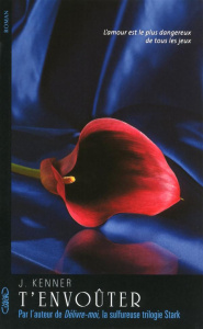 Te désirer Tome 3 : T'envoûter - Kenner Julie ; Vignault Valentine