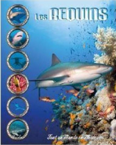 Les requins - Baillet Christine