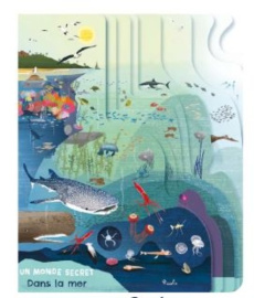 Dans l'océan - Colombo Silvia