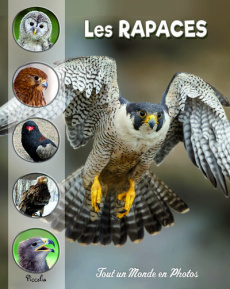 Les rapaces - Baillet Christine