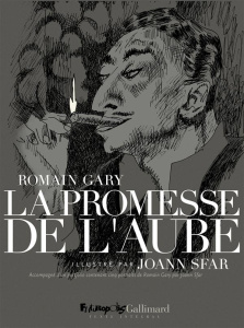 La promesse de l'aube. portfolio - Gary Romain ; Sfar Joann