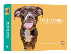 L'agenda-calendrier Drôles de chiens. Edition 2024 - Messiaen Audrey