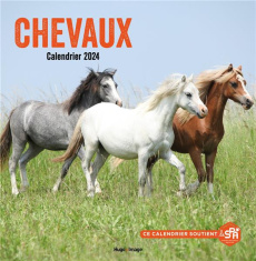 Calendrier Chevaux. Edition 2024 - COLLECTIF