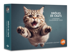 L'agenda-calendrier Drôles de chats. Edition 2025 - COLLECTIF