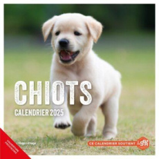 Calendrier mural Chiots. Edition 2025 - Valli Luce