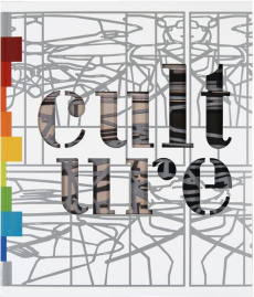 Architectures de la culture, Culture de l'architecture - Aris Dominique ; Henry Elisabeth ; Pitard Adeline