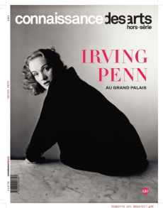 Irving Penn au Grand Palais - Collectif