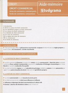 Droit commercial. Actes de commerce, commerçants, fonds de commerce, concurrence - Dumoulin Dominique