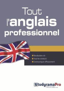 Tout l'anglais professionnel - Yala Amina ; Mercier Fabienne