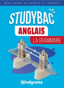 Anglais. La grammaire - Delmotte Axel