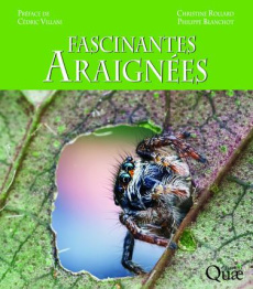 Fascinantes araignées - Rollard C;Blanchot P;Villani C