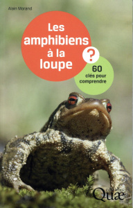 Les amphibiens à la loupe / 60 clés pour comprendre - Morand Alain