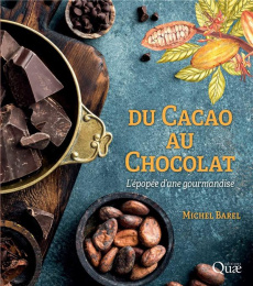 Du cacao au chocolat - L'épopée d'une gourmandise - Barel Michel