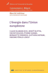 L'énergie dans l'Union Européenne. 3e édition - Blumann Claude