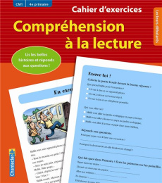 Compréhension à la lecture CM1. Cahier d'exercices - Vermeulen Moniek
