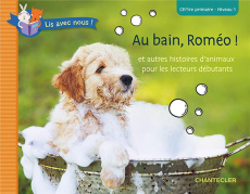 Au bain, Roméo ! Et autres histoires d'animaux pour les lecteurs débutants. CP-1re primaire, Niveau - COLLECTIF