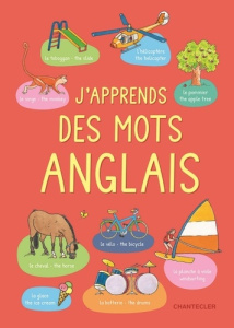 J'apprends des mots anglais - De Becker Paul ; Engelen Anita ; Hallemans Ina