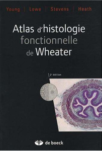 Atlas d'histologie fonctionnelle de Weather. 2e édition - Heath John W. ; Stevens Alan ; Young Barbara ; Val