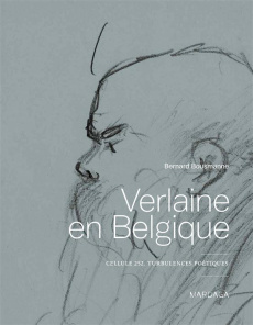 Verlaine en Belgique. Cellule 252, turbulences poétiques - Bousmanne Bernard