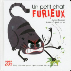 Un petit chat furieux - Bouquet Audrey ; Ockto Lambert Fabien