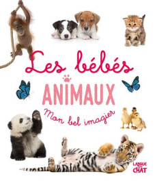 Les bébés animaux - COLLECTIF