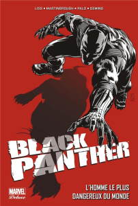Black Panther : L'homme le plus dangereux du monde - Liss David ; Martinbrough Shawn ; Palo Jefte ; Avo