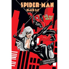 Spider-Man/Black Cat : L'enfer de la violence - Smith Kevin ; Dodson Terry