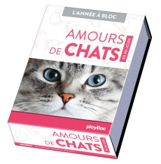 Amours de chats en 365 jours - COLLECTIF