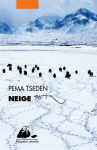 Neige. Nouvelles du Tibet - Tseden Pema ; Robin Françoise ; Duzan Brigitte