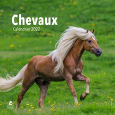 Chevaux. Edition 2022 - Amen Cécile ; Eslamizad Samin