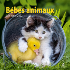Bébés animaux. Edition 2022 - Bindé Joséphine ; Eslamizad Samin
