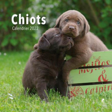 Chiots. Edition 2022 - Motte Capucine ; Eslamizad Samin