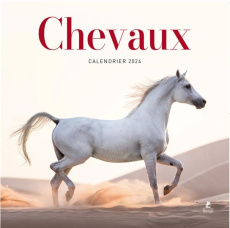 Calendrier chevaux. Edition 2024 - Urbain Camille ; Thibaudault Yohann