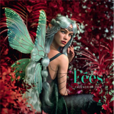 Calendrier fées. Edition 2024 - Motte Capucine ; Urbain Camille