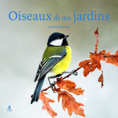Calendrier oiseaux de nos jardins. Edition 2025 - COLLECTIF