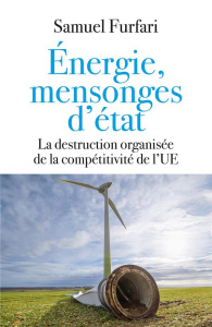 Energie, mensonges d'état. La destruction organisée de la compétitivité de l'UE - Furfari Samuel