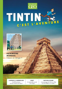 Tintin, c'est l'aventure Tome 12 : Patrimoine mondial - Meyer Eric