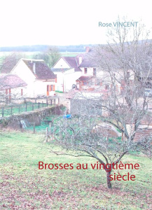 Brosses au vingtième siècle - Vincent Rose