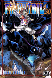Fairy Tail Tome 30 - Mashima Hiro ; Zouzoulkovsky Vincent
