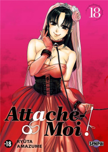 Attache-moi ! Tome 18 - Amazume Ryûta - Debienne Manon - Takizawa Shuji