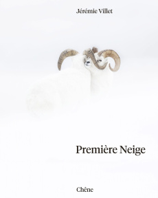 Première neige - Villet Jérémie